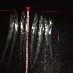 コンスタントに釣れました。