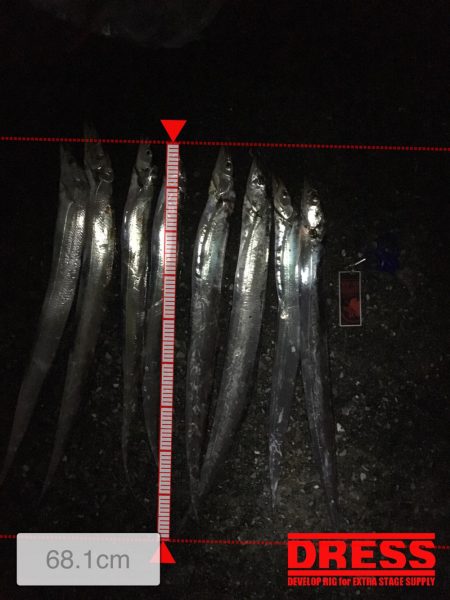 コンスタントに釣れました。