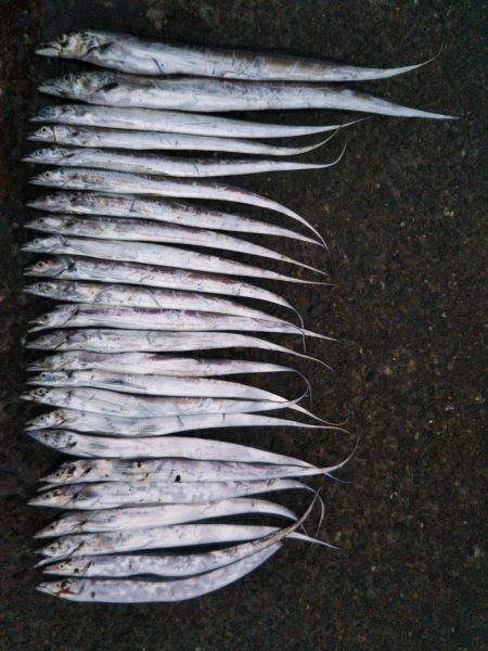 阿南市の辰巳でドラゴン