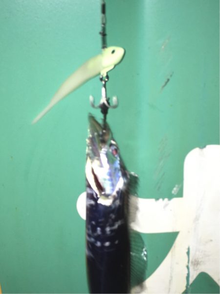 エコギアルアーいいね!