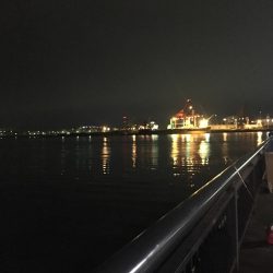 アジングで珍客