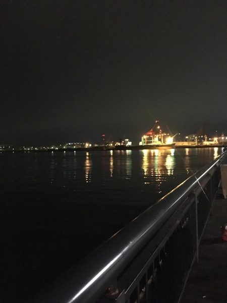 アジングで珍客