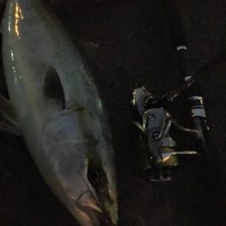 嵐の前の静けさ。