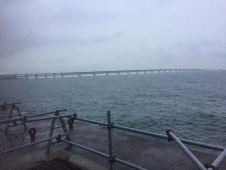 雨の中ボウズは逃れました