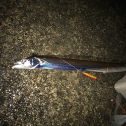 嵐の前の2時間釣行