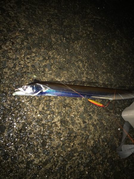 嵐の前の2時間釣行