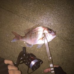 たいとあじ@岩屋