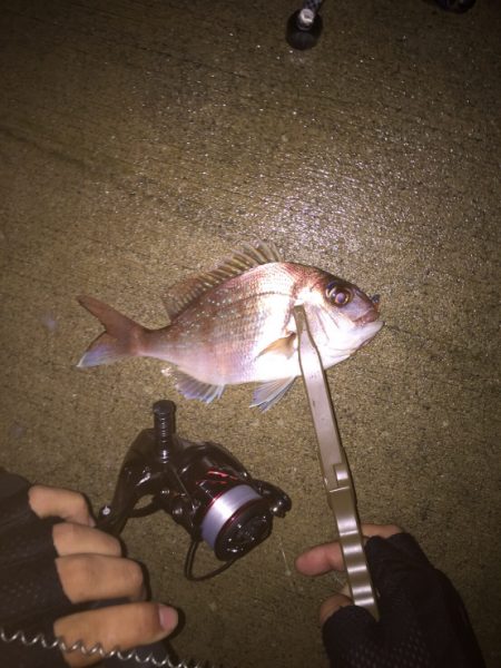 たいとあじ@岩屋