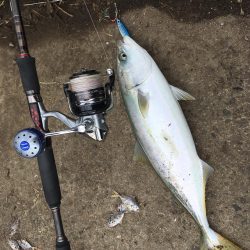 高砂エリア☆台風後調査〜