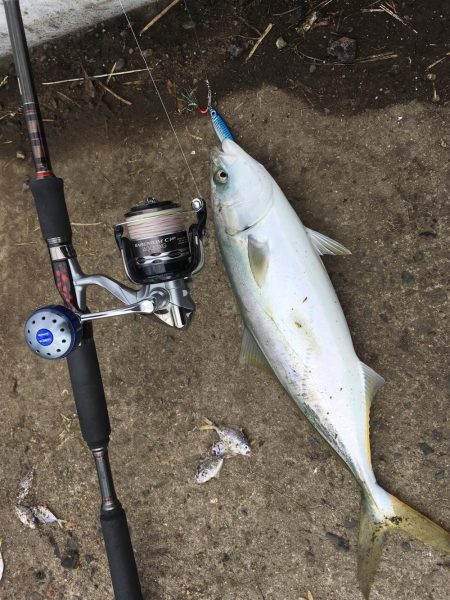 高砂エリア☆台風後調査〜