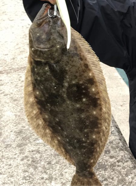 また、ソゲでした…