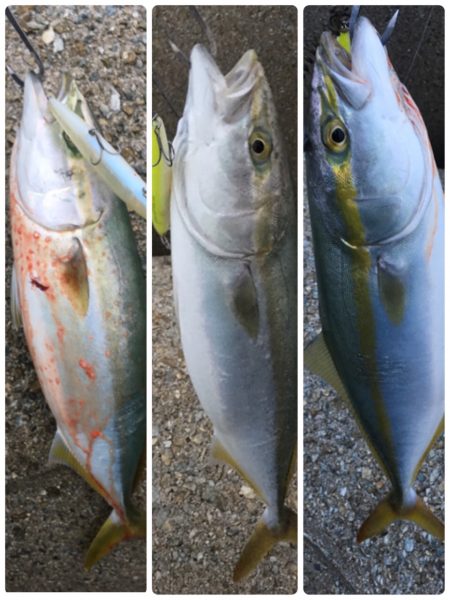 これぞ台風後の…？