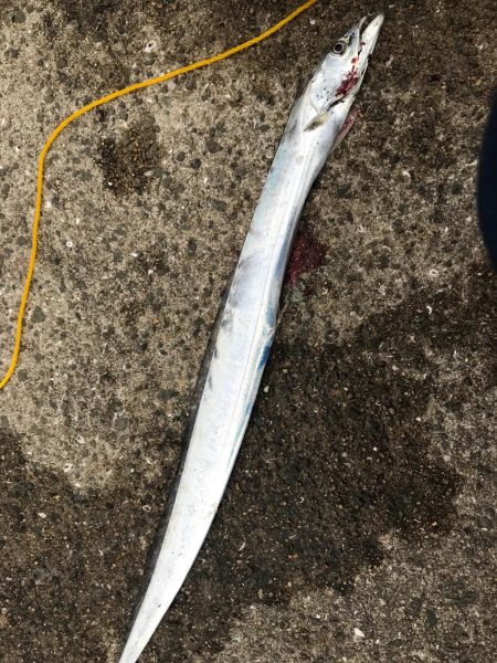 鳴尾浜海釣り広場