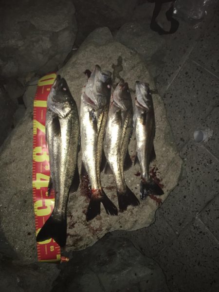 サイズがなかなか(・・;)