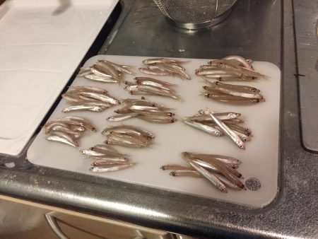 佐仲ダムでワカサギ釣り