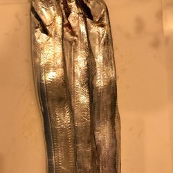 ポーアイ タチウオ渋い。。。