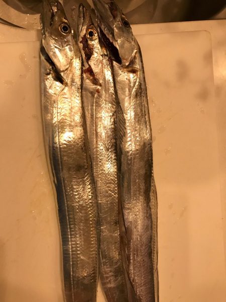 ポーアイ タチウオ渋い。。。