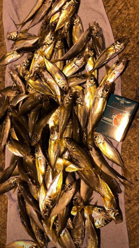 数えるだけでも一苦労