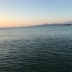 アタリはあるが…