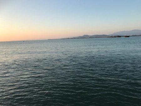 アタリはあるが…