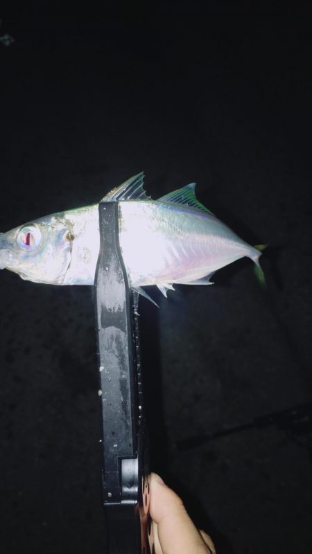 ラッキーかな？