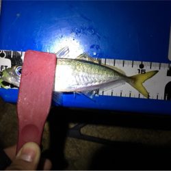 昨日のリベンジ達成