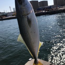 とどヤバ美味い♫