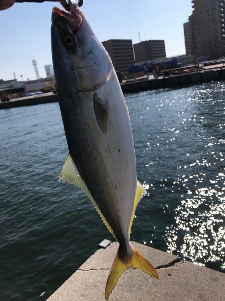 とどヤバ美味い♫