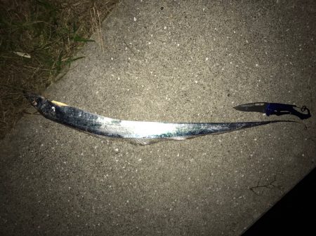 台風前ワインド