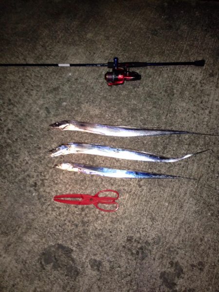 台風前の刀狩り