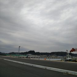 メバルいいサイズ