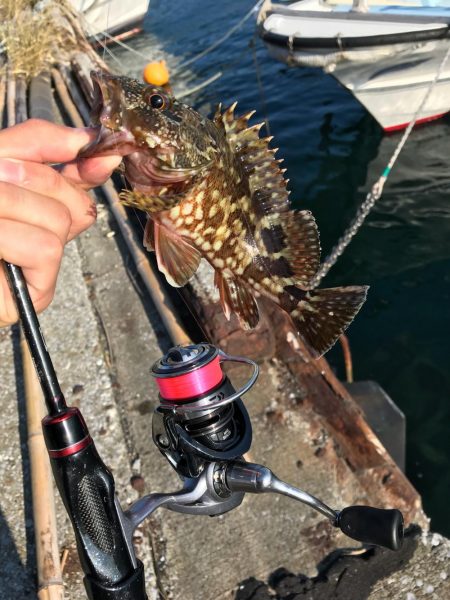 お昼からぼちぼちライトゲーム