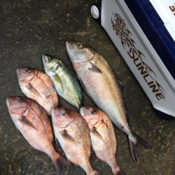 釣堀紀州での釣果です。