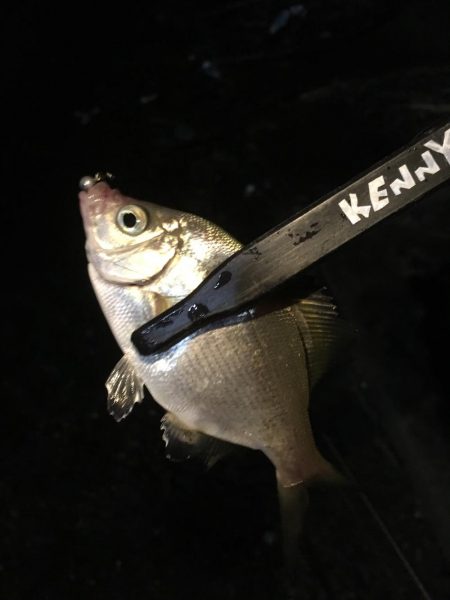 何でも入れ食い！