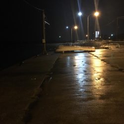 ガシラに会えて良かった