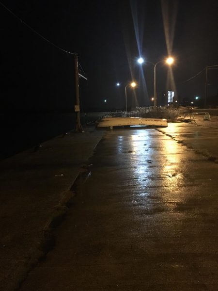 ガシラに会えて良かった