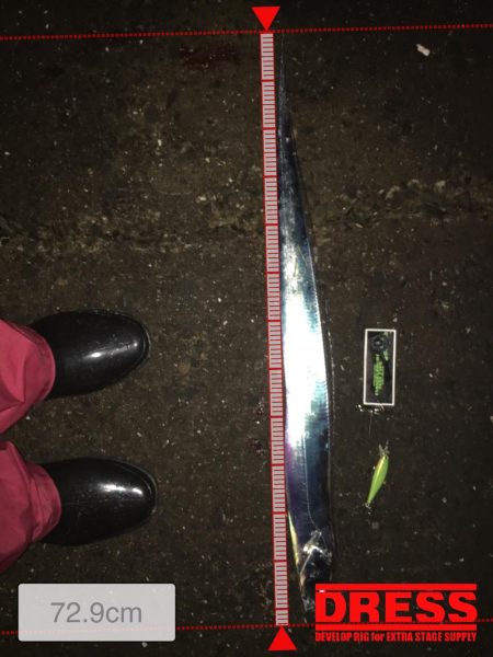 タチウオ爆釣❗️