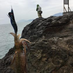 パラダイスを求めて