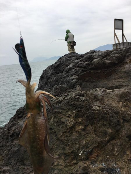 パラダイスを求めて