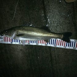 スーパーボイル！！