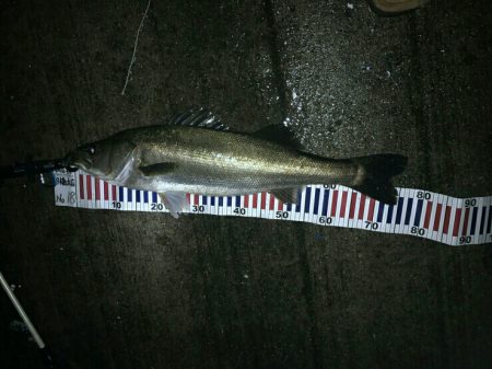 スーパーボイル！！