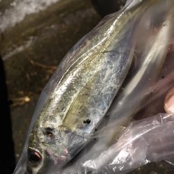 爆風ライトゲーム