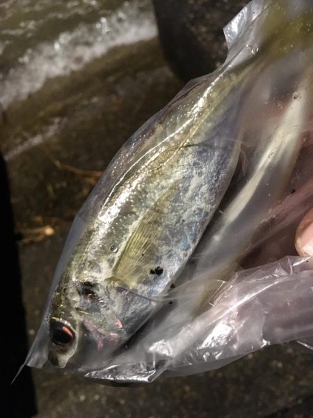 爆風ライトゲーム