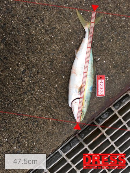 嵐(台風)の前の静けさは爆釣