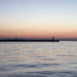 台風後のシーバス