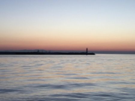 台風後のシーバス