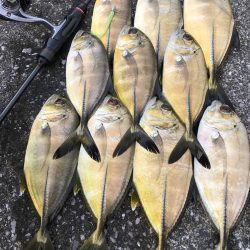 佐伯ライトゲーム！