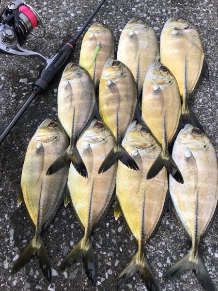 佐伯ライトゲーム！