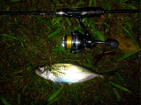 サイズは満足も