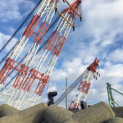 朝マズメにハマチ